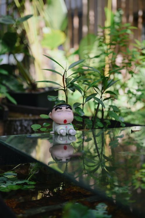 Free A whimsical cartoon figurine sits on glass, reflecting lush garden greenery. Stock Photo