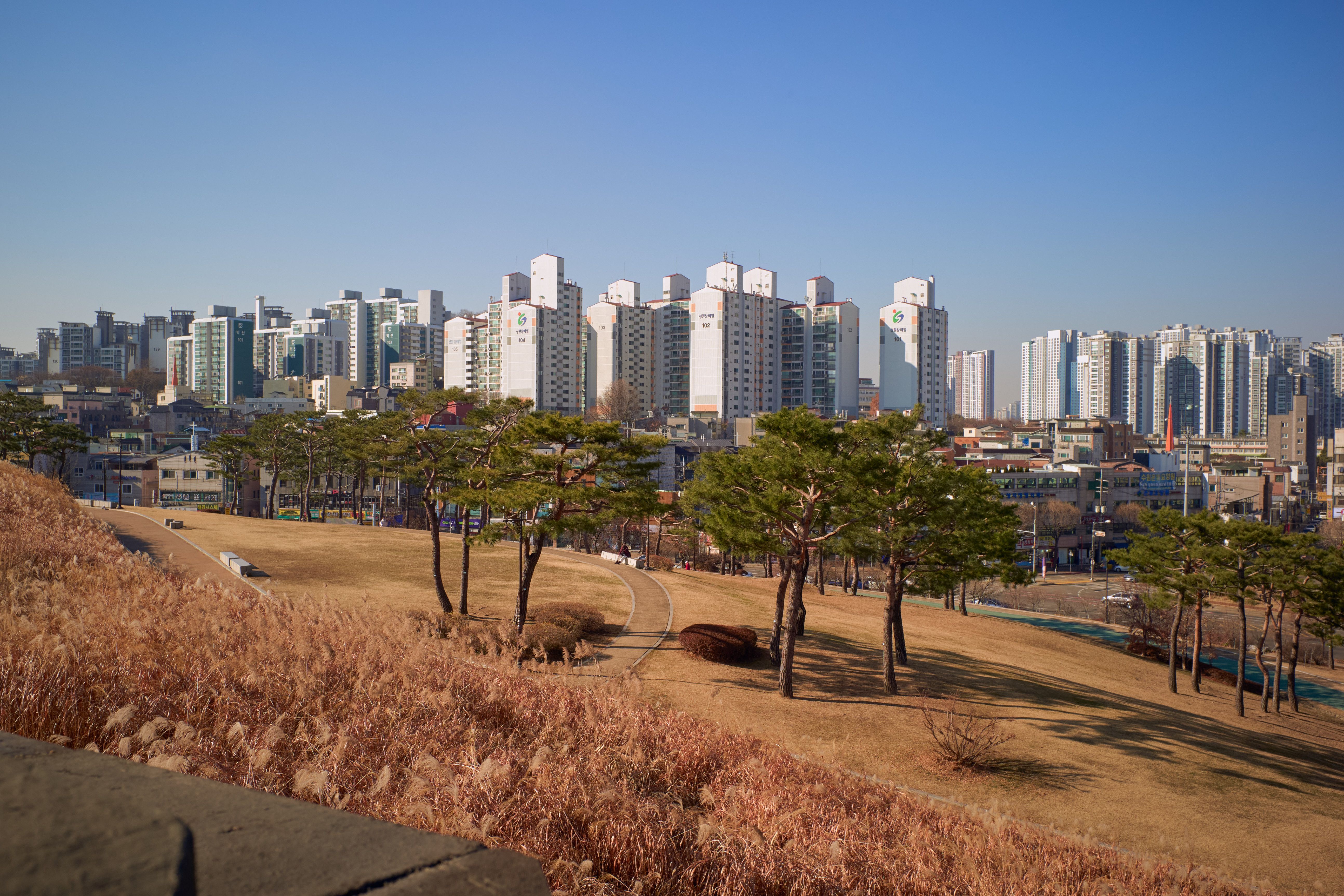 대전유흥