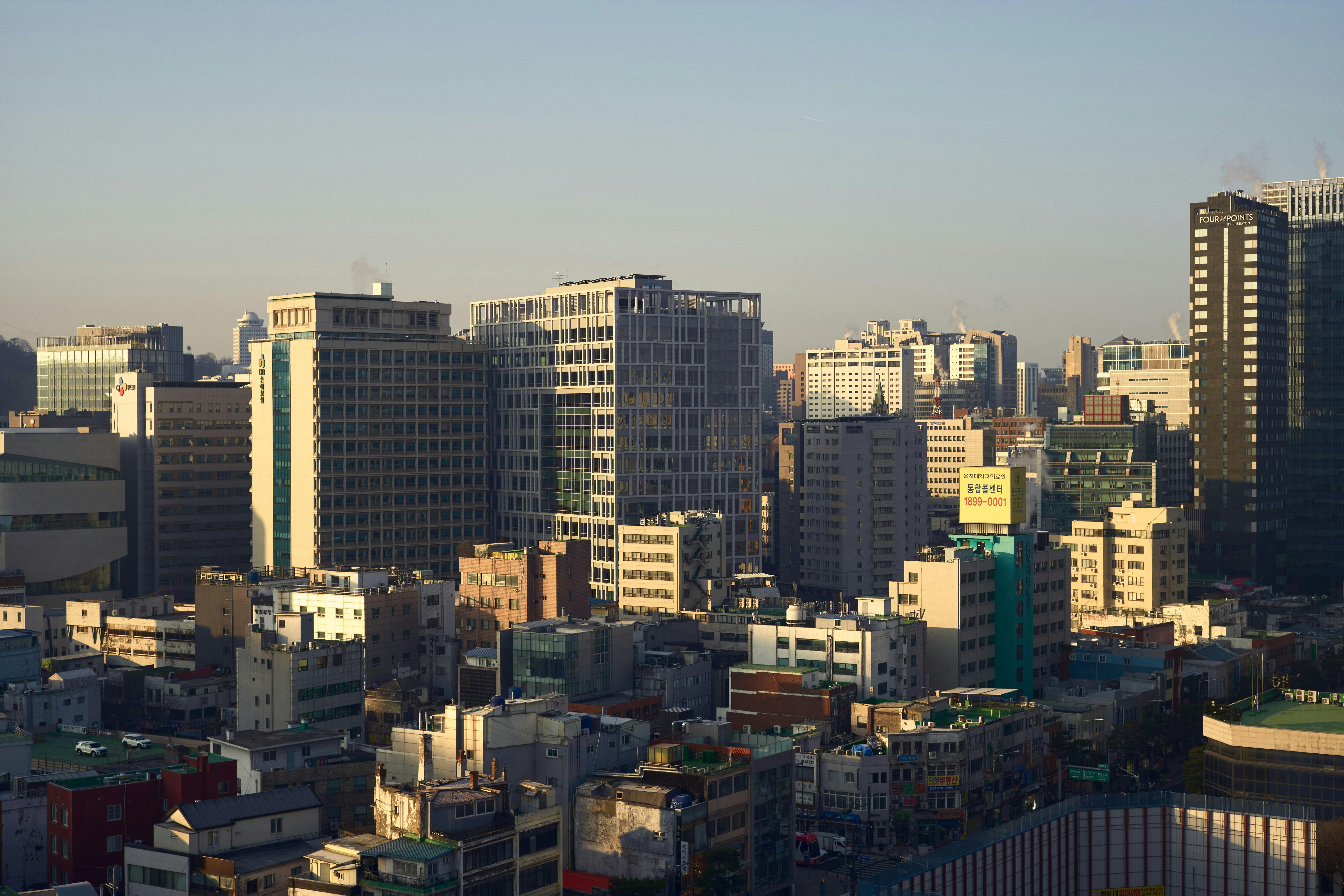 pexels-photo-35396702.jpeg?auto=compress&cs=tinysrgb&h=650&w=940