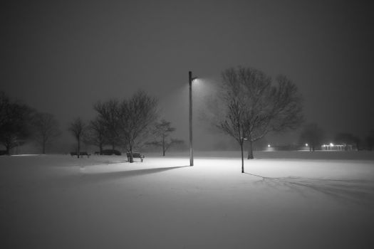 A quiet park scene at night with snow-covered trees illuminated by streetlights.
