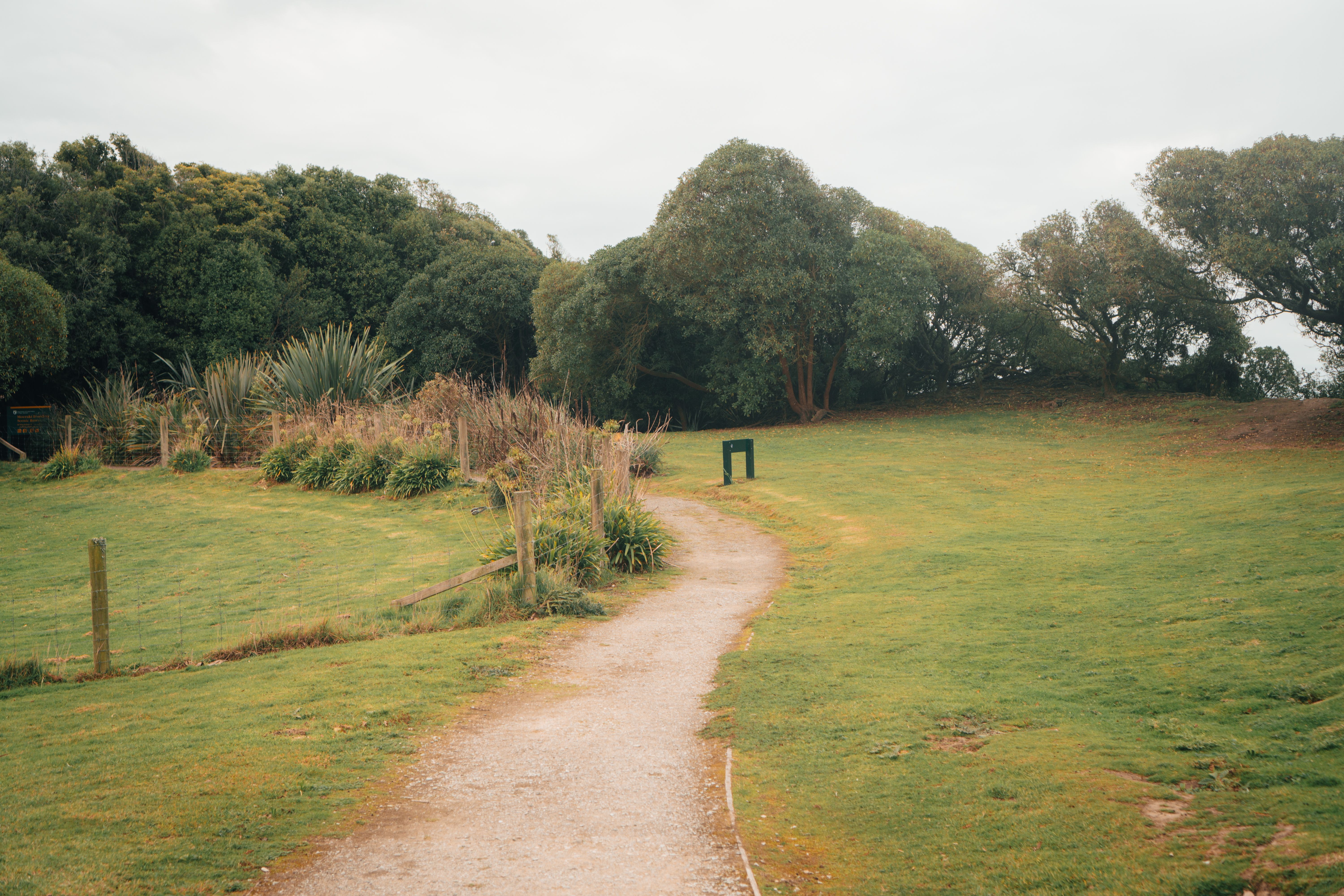 Peaceful path through lush greenery in Oamaru, Otago Region, New Zealand, perfect for nature walks.