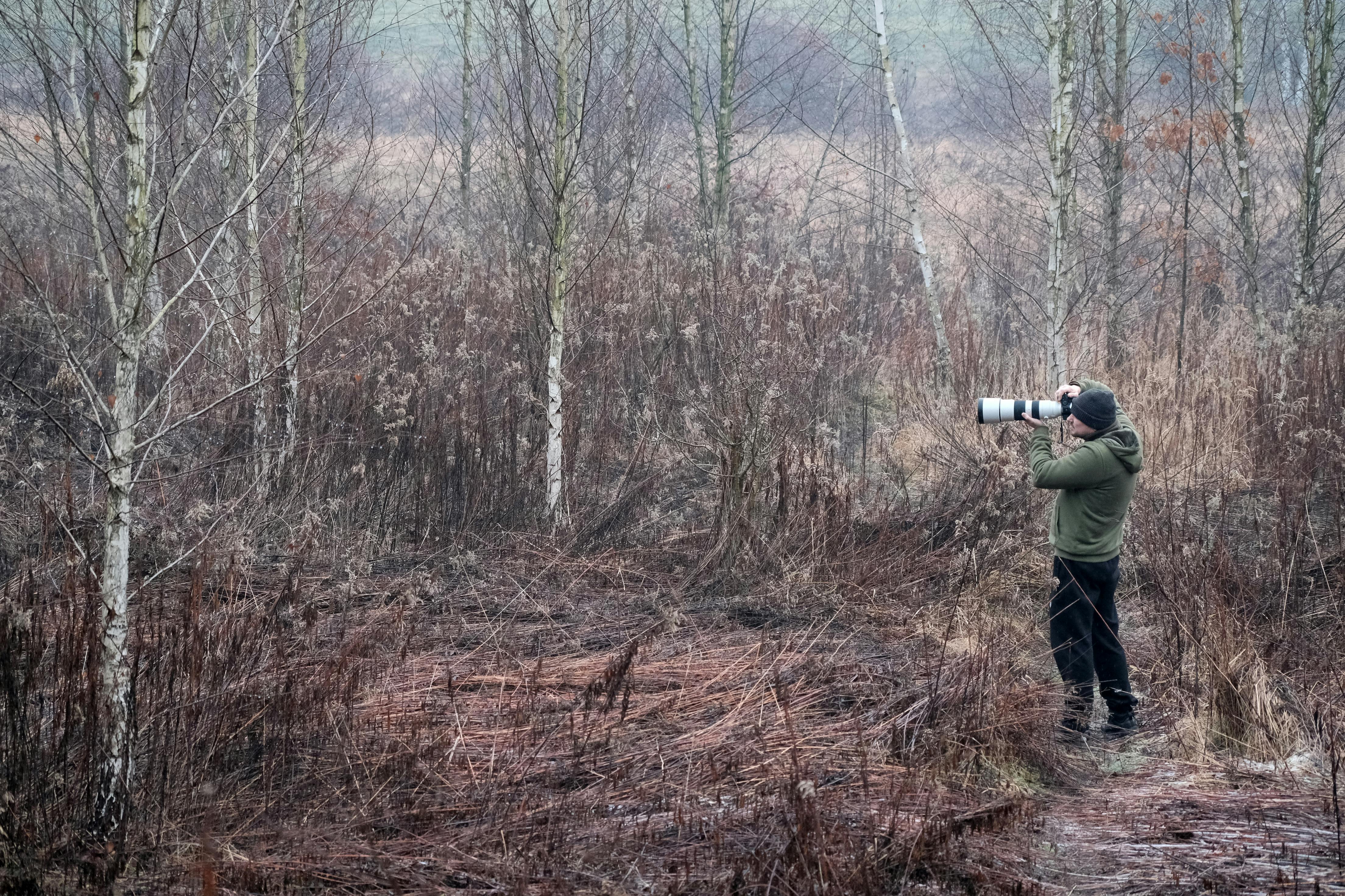Telephoto lens setup for wildlife photography - bird photography tips and techniques
