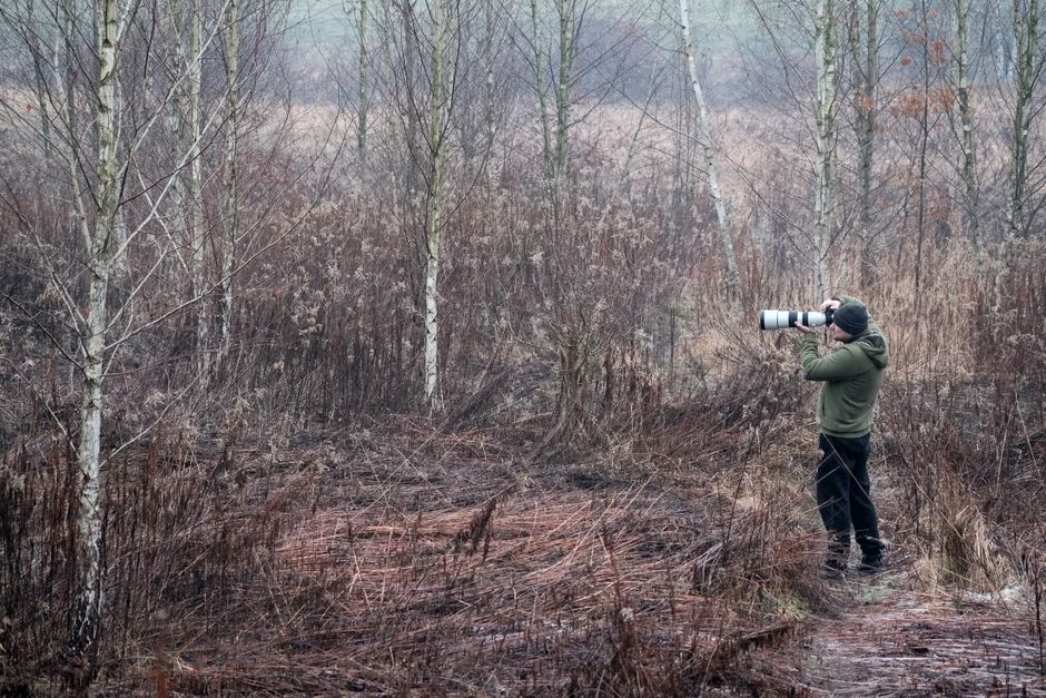 Telephoto lens setup for wildlife photography - bird photography tips and techniques Telephoto lens setup for wildlife photography - bird photography tips and techniques