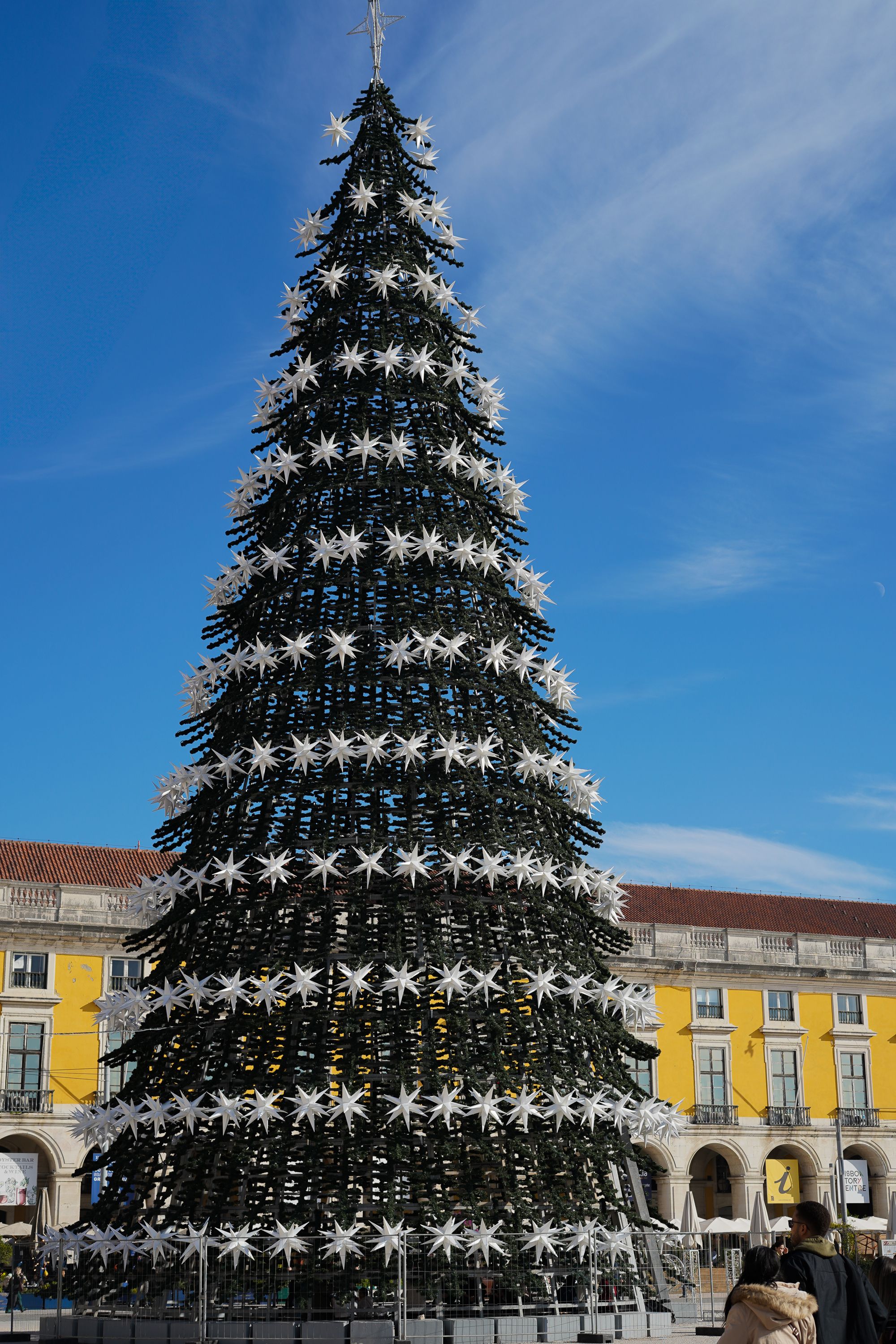 Giant Christmas Tree in Praça do Comércio, Lisbon · Free Stock Photo