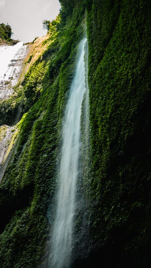 Free A stunning waterfall flows down a verdant cliffside, captured in vibrant detail. Stock Photo