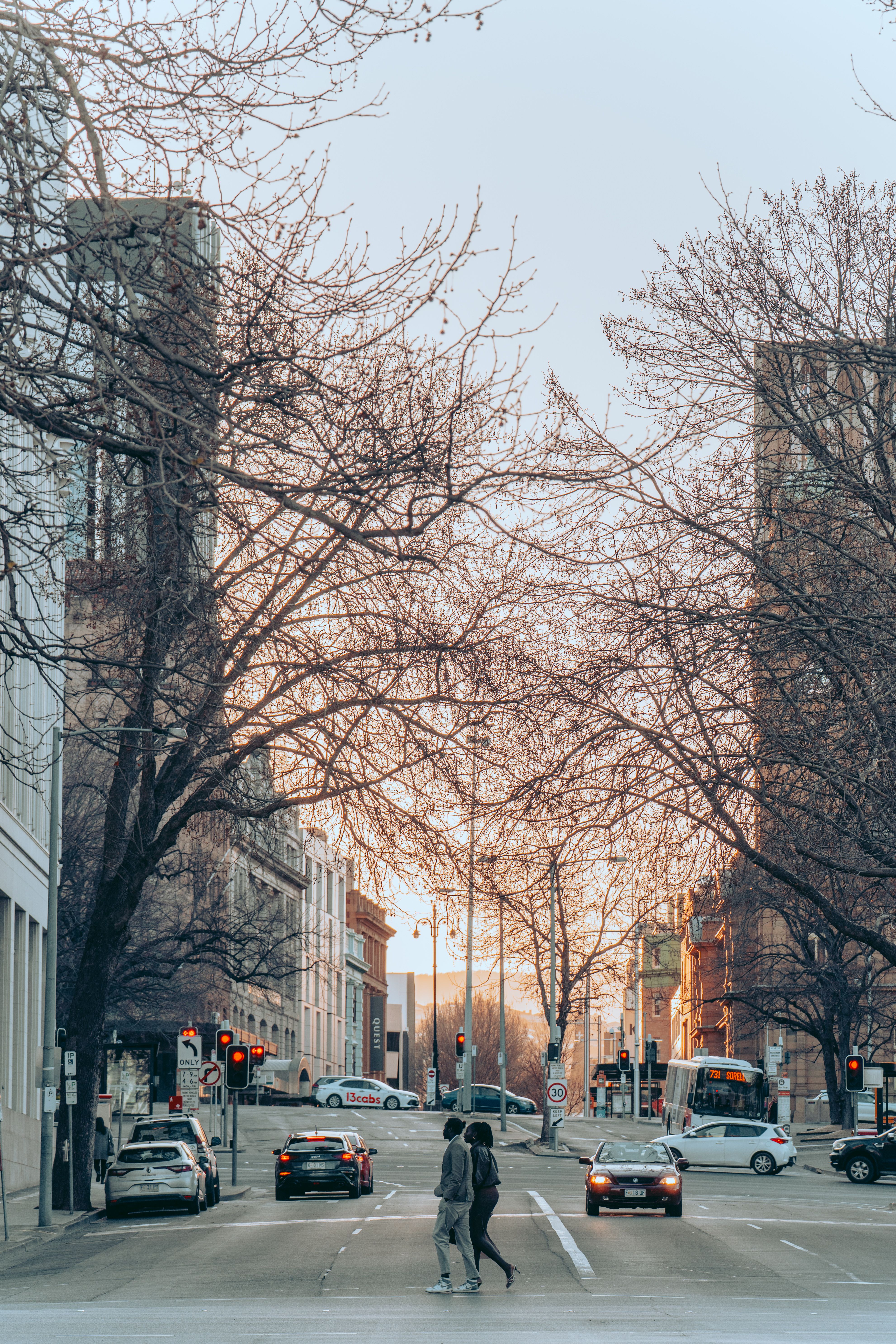 Urban Street Scene at Sunset with Bare Trees · Free Stock Photo