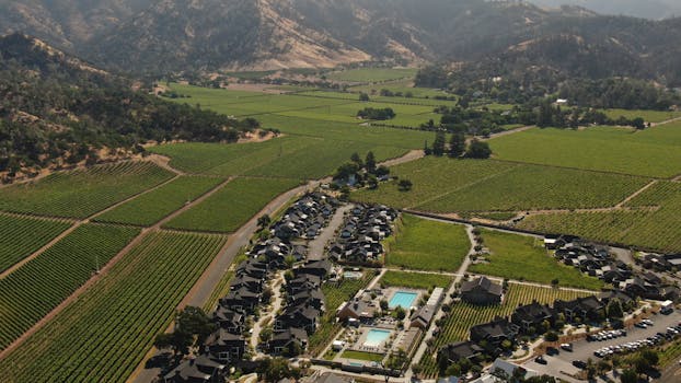 Napa Valley, United States photo 2