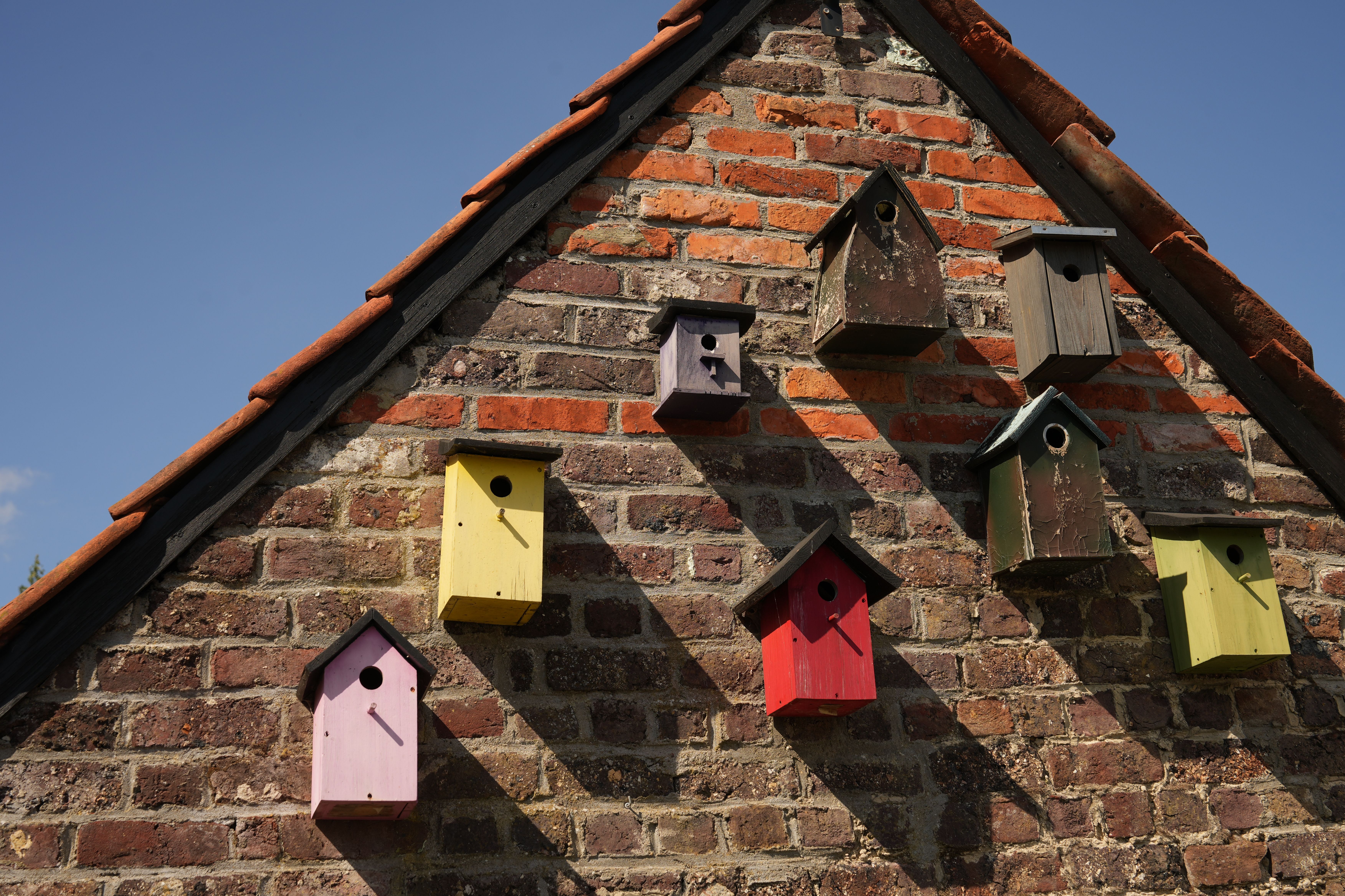 nichoir oiseaux à fabriquer soi-même facile - Fabriquer un nichoir à oiseaux simple : étapes détaillées