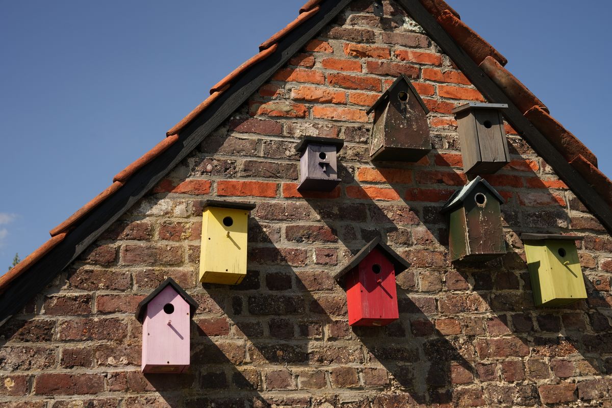 nichoir oiseaux à fabriquer soi-même facile - Fabriquer un nichoir à oiseaux simple : étapes détaillées