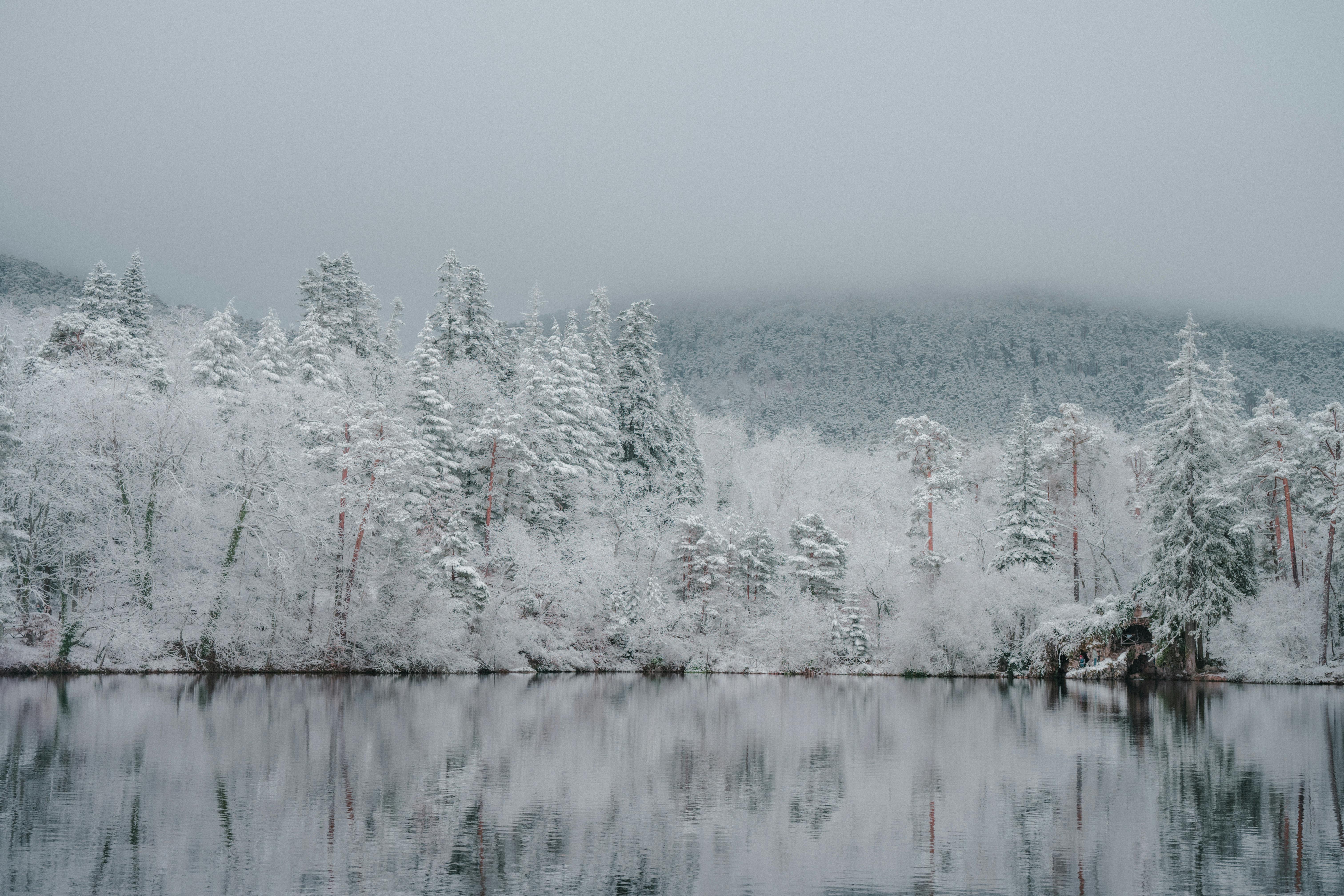 林祐介　KARHU & Picturesque Winter Landscape Scenic Winter Landscape · Free Stock Photo