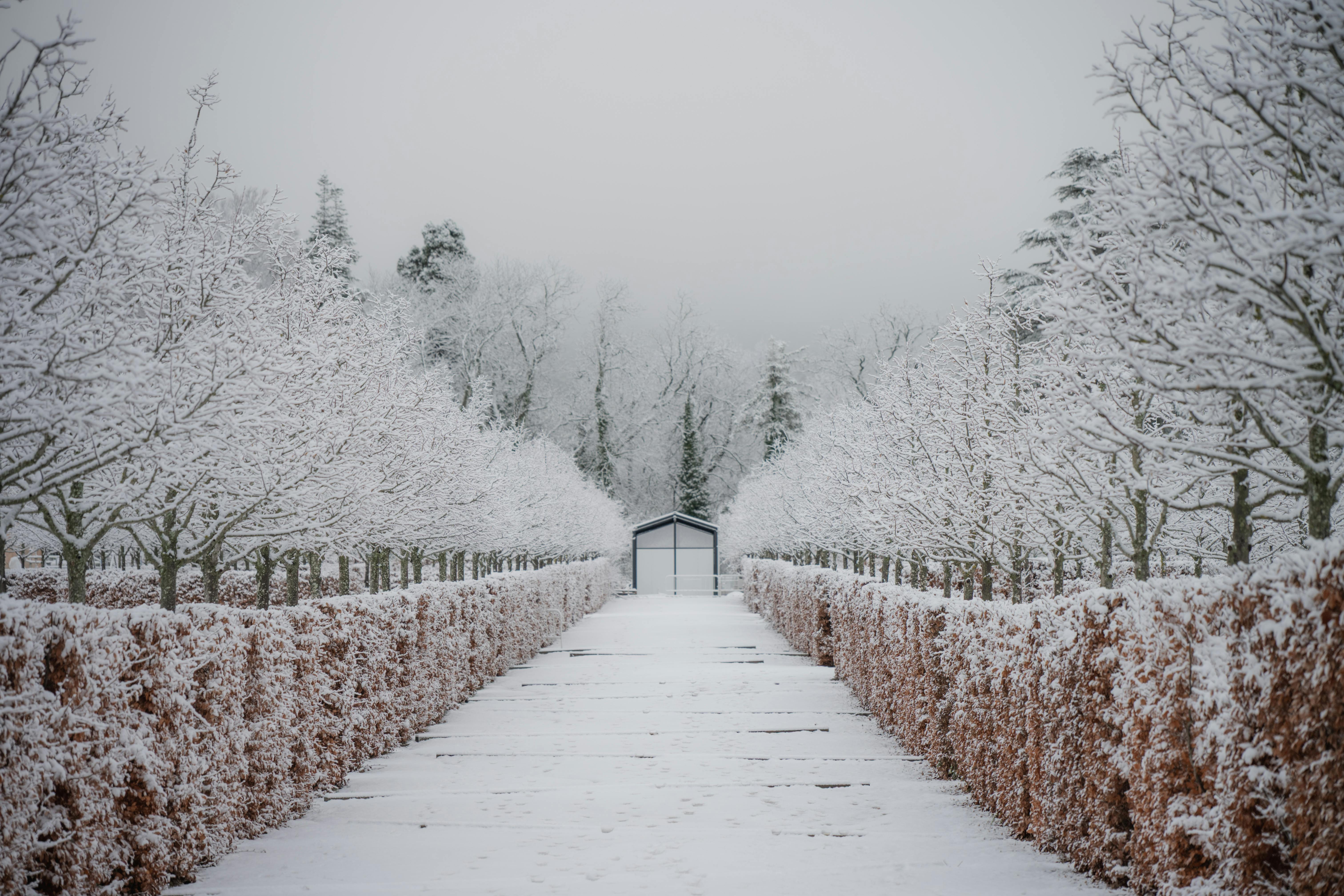 Landmarks in Castellane