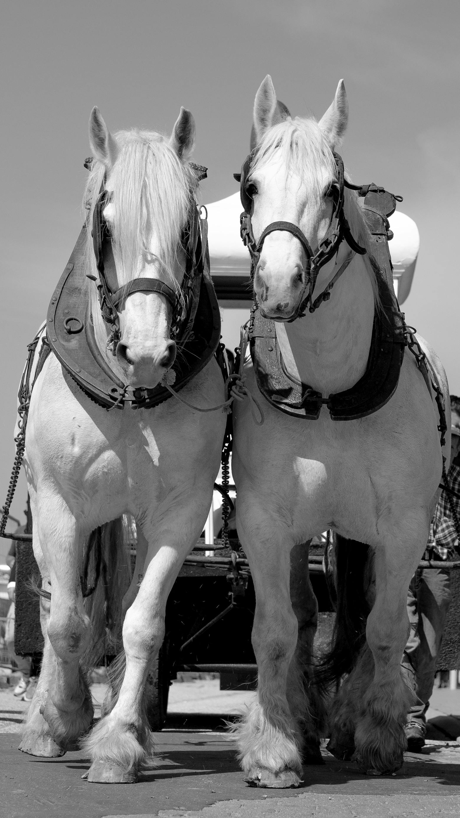 Harnessing The Power Of Pinterest