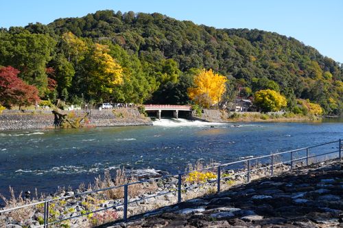 Free Peaceful autumn landscape with colorful trees by Uji River, Kyoto, Japan. Stock Photo