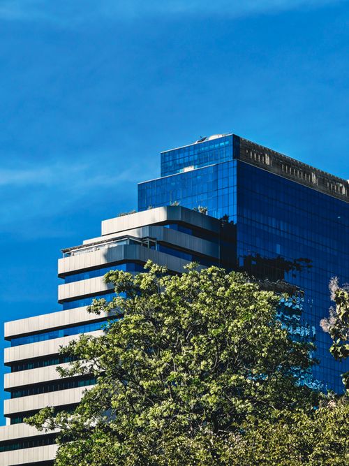 Free A sleek modern glass building against a bright blue sky with lush green trees in the foreground. Stock Photo