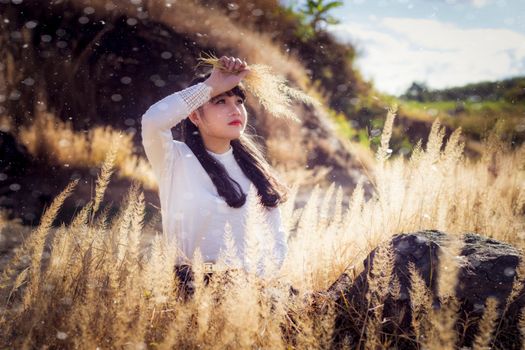 Young woman in a sunny meadow in Vietnam, surrounded by tall grass, showcasing natural beauty.