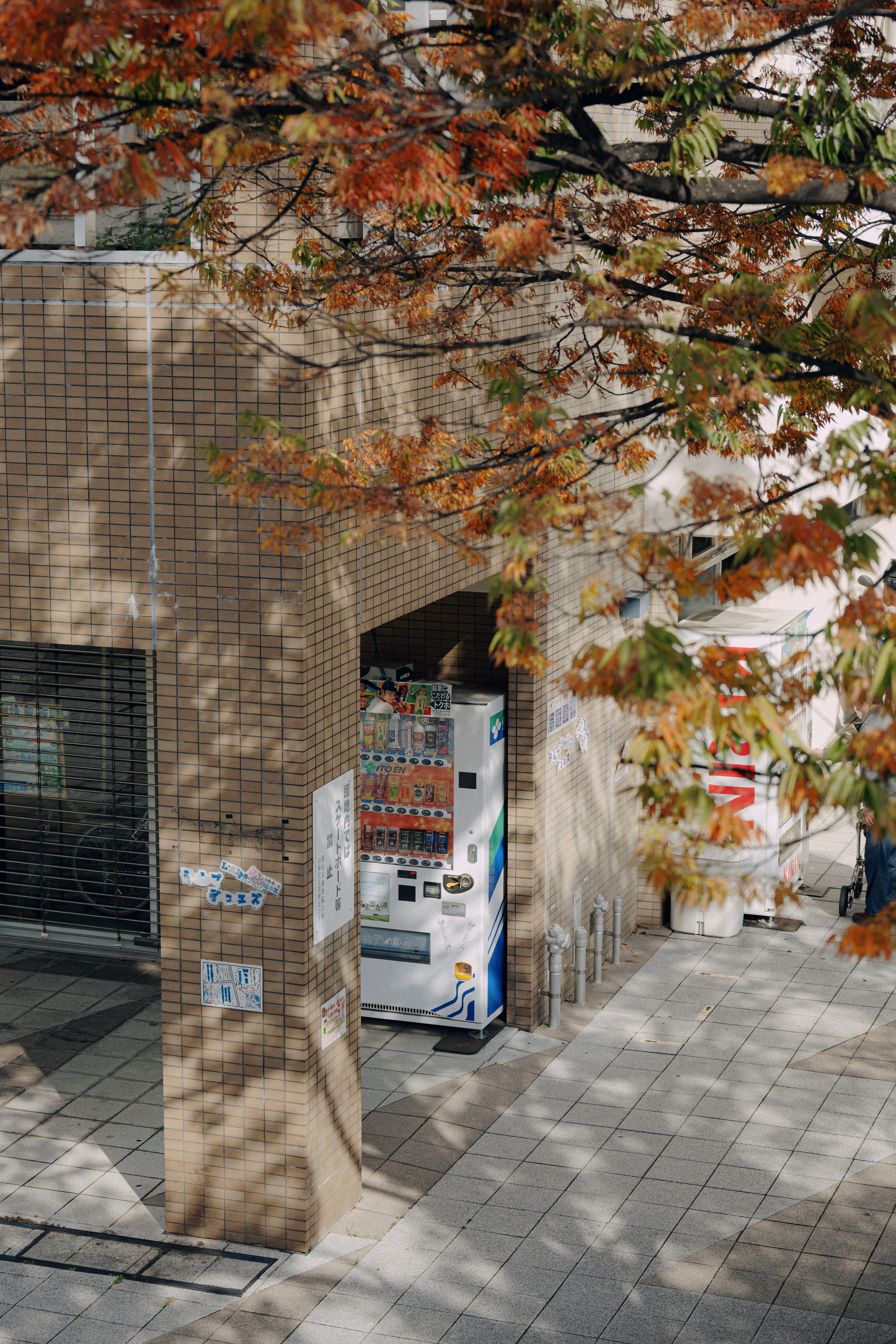 Vending machine under autumn foliage · Free Stock Photo