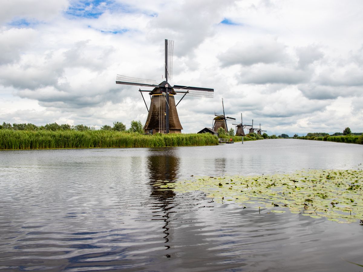 21 Day Ayurvedic Panchakarma Wellness Retreat in the Netherlands 1