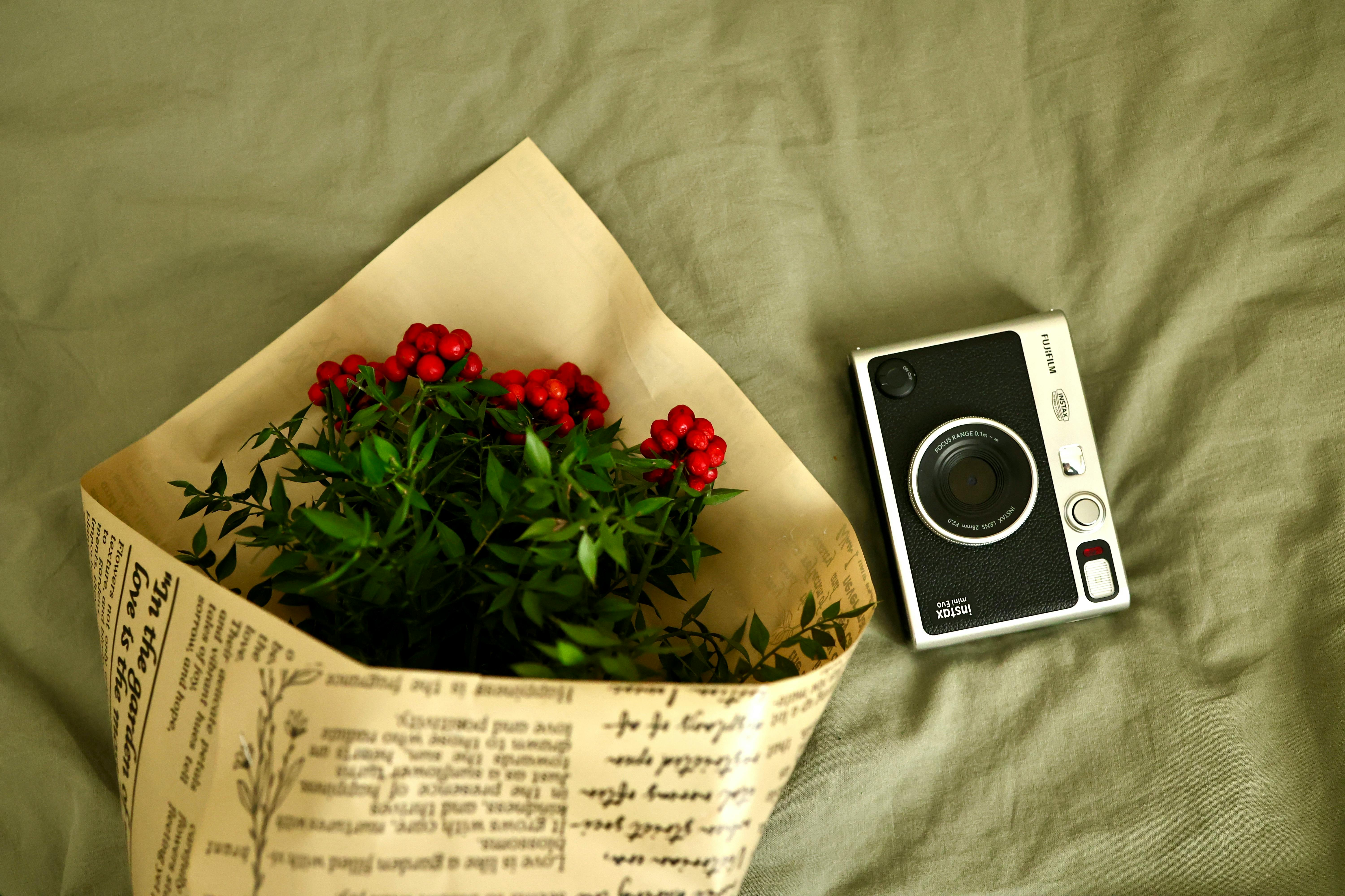 Kostenlos Eine Vintage-Kamera neben einem Blumenstrauß mit roten Beeren auf grünem Stoffhintergrund. Stock-Foto
