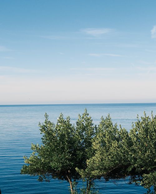 Free Peaceful ocean landscape with lush greenery under a clear blue sky. Stock Photo