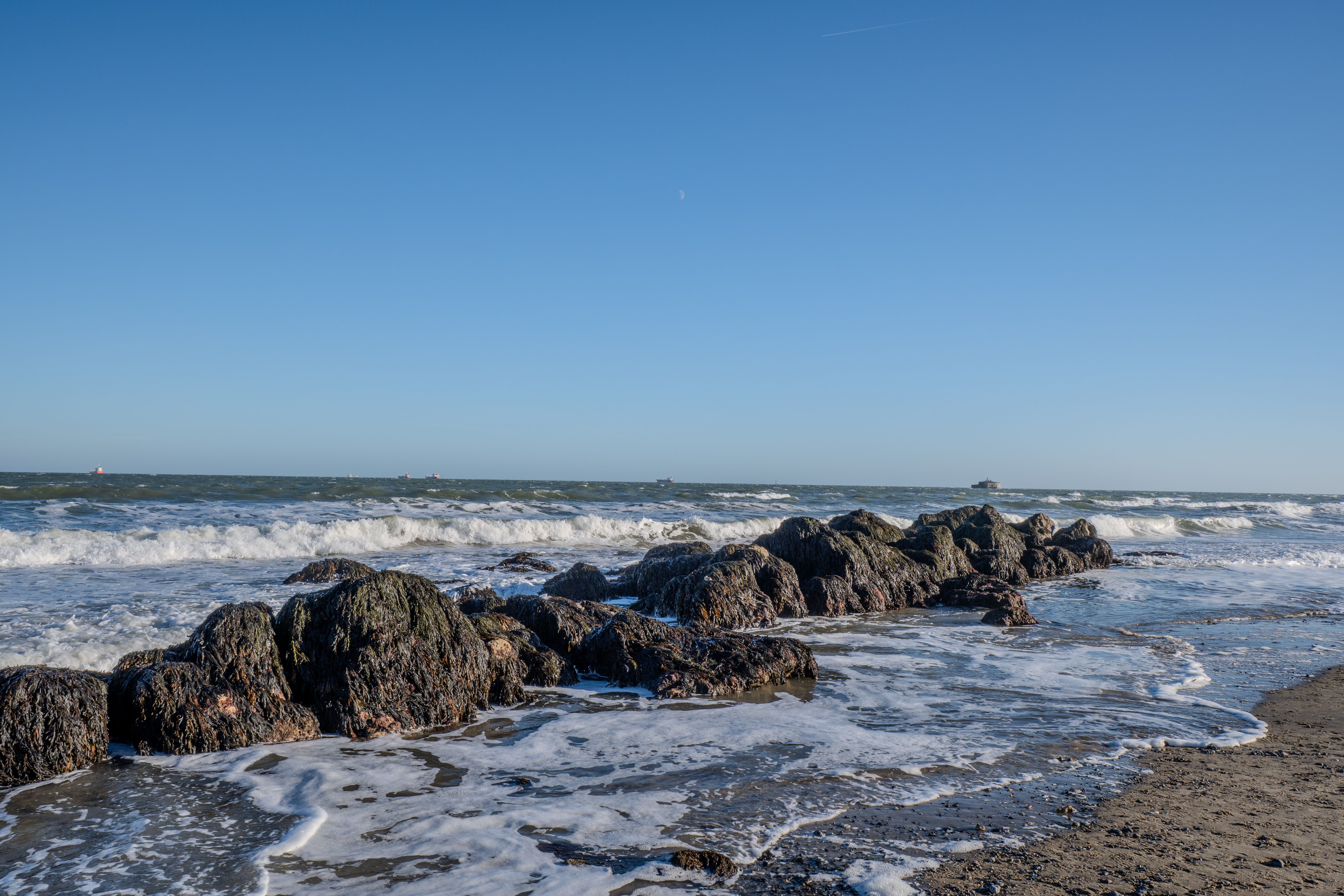 Fishing in Texas: Licenses, Coastal Spots, and Tactics