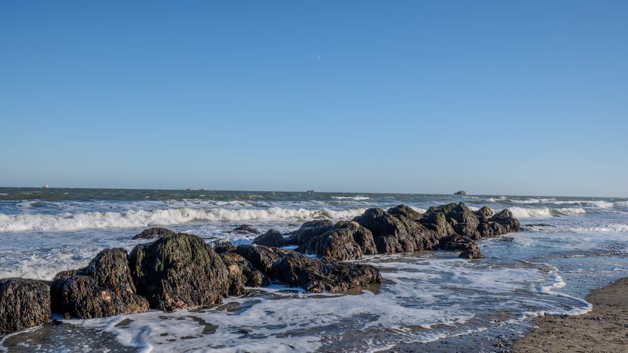 Fishing in Texas: Licenses, Coastal Spots, and Tactics