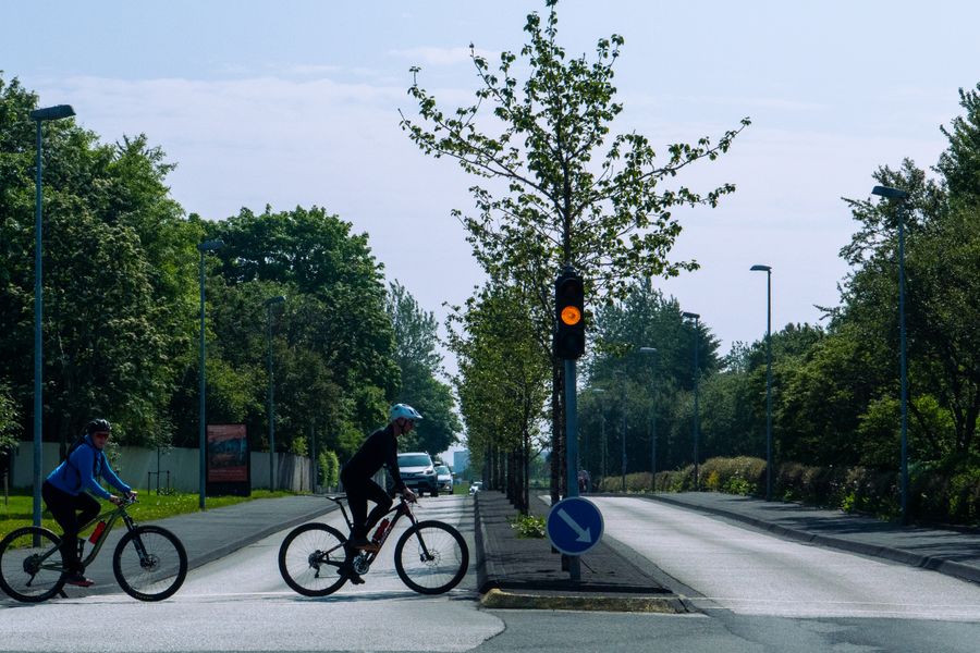 Two cyclists wait at a traffic light on a tree-lined road on a sunny day.
