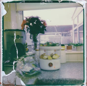 厨房布置充满怀旧感，配有蒸笼，窗边还摆放着植物