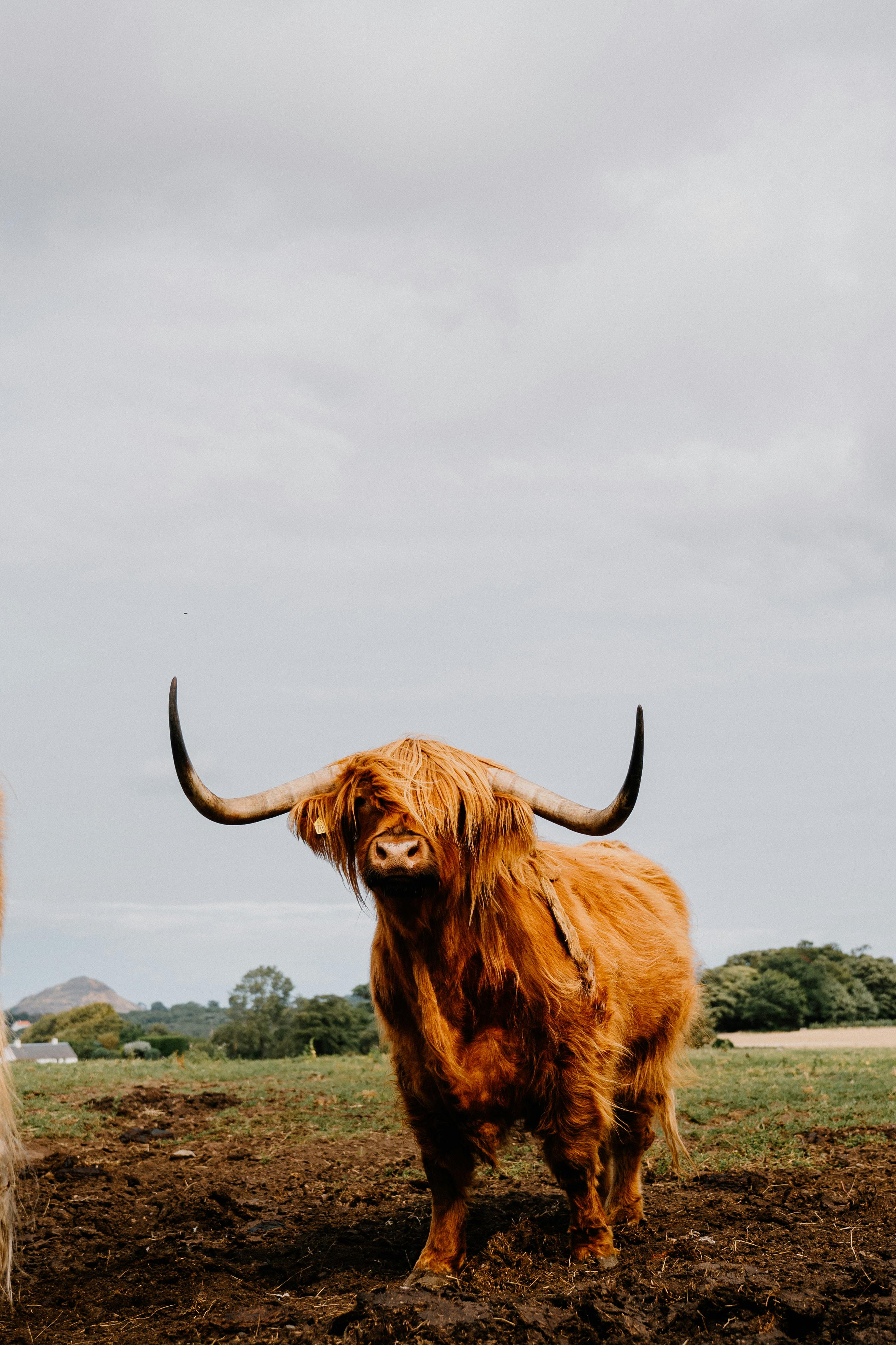 Gratuit La Magie De L'écosse Photos
