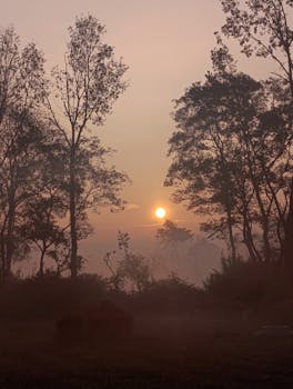 A tranquil sunrise casting a warm glow over a misty forest in Bagmati Province, Nepal.