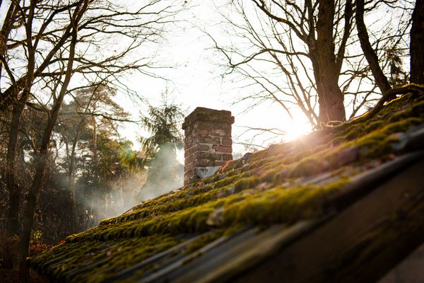 Moss covering roof tiles — retains moisture and accelerates tile degradation