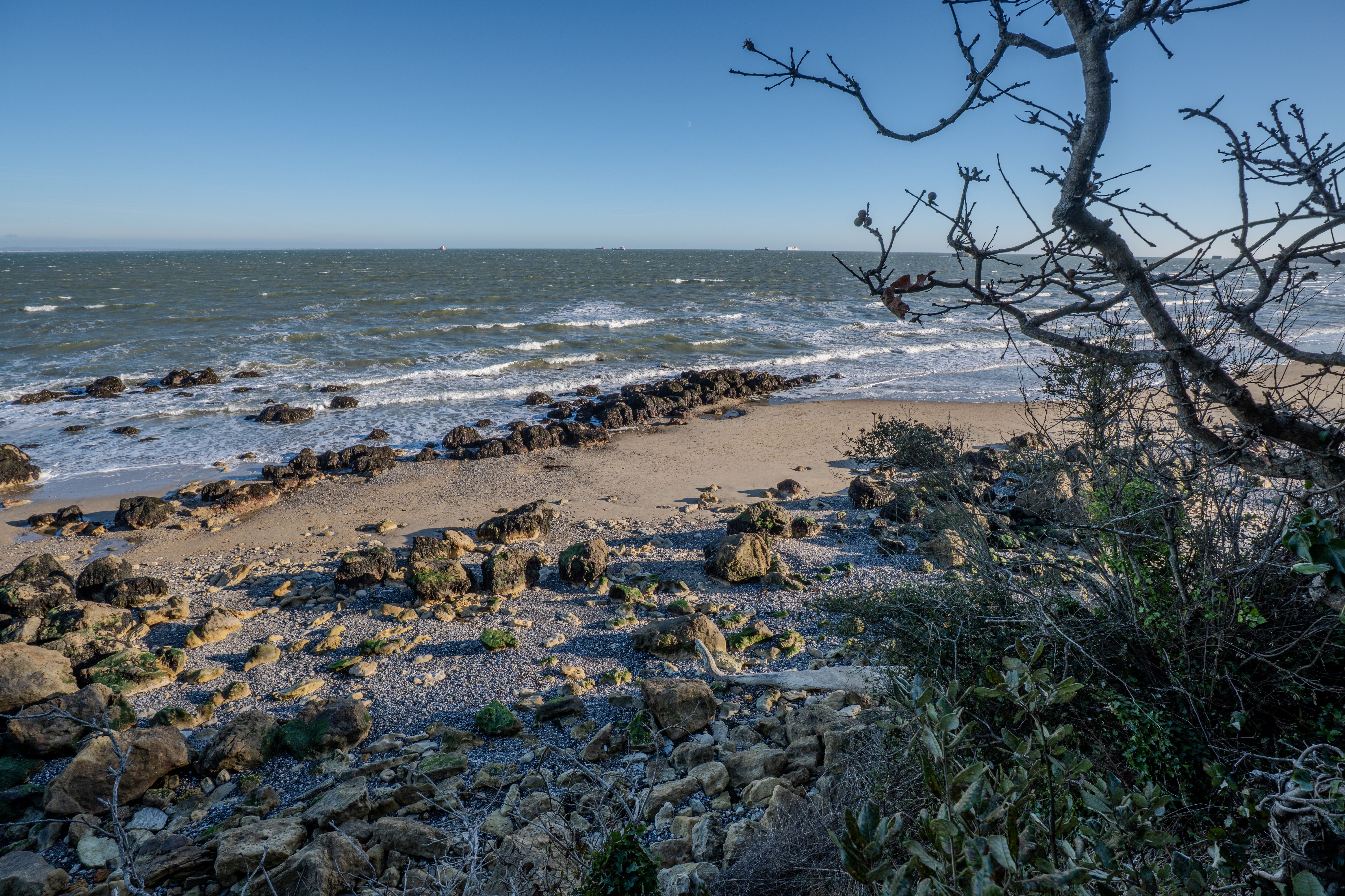 Scenic Coastal Beach View with Rocky Shoreline · Free Stock Photo