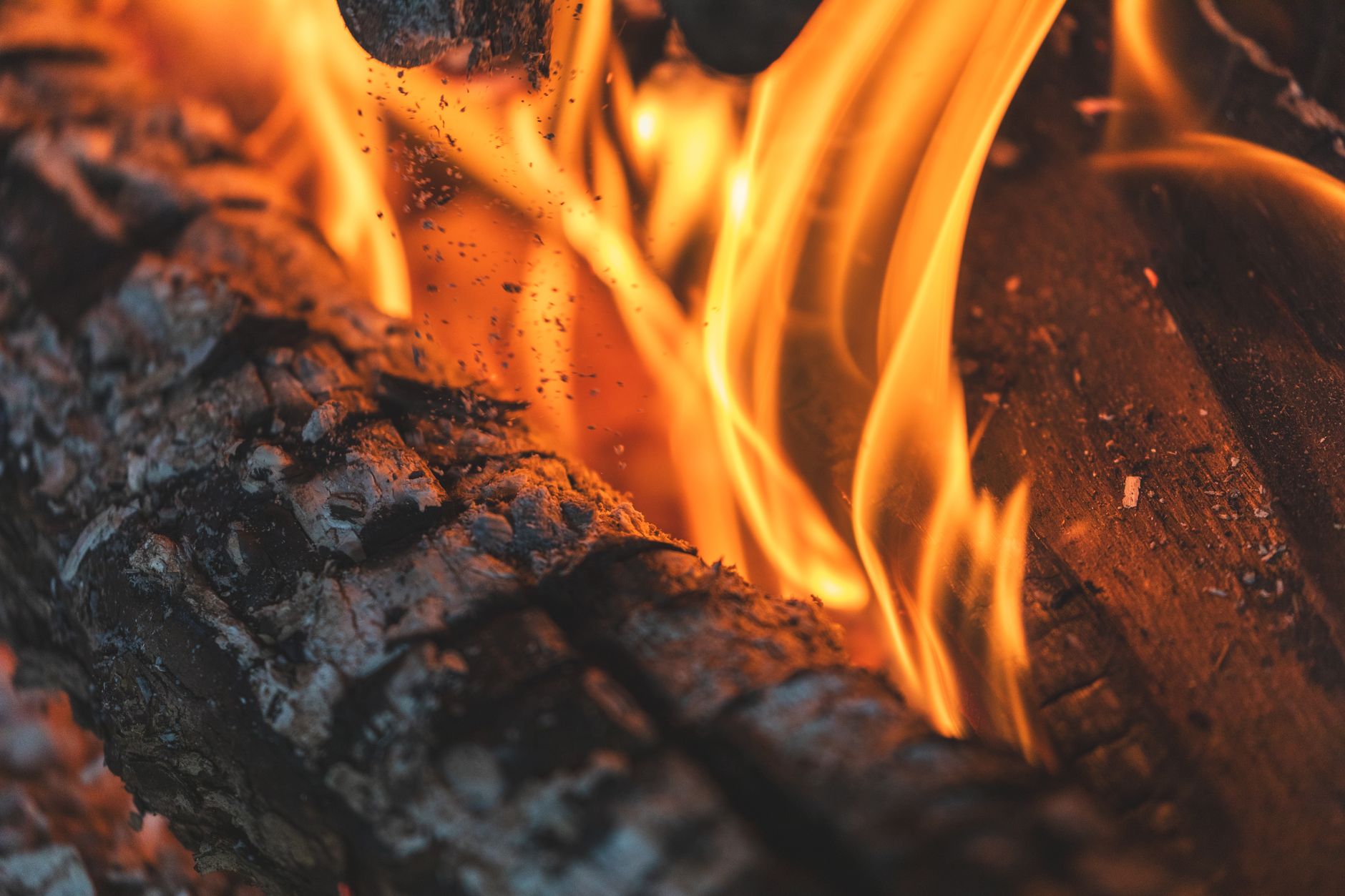 Best Woodburning Kit for Beginners 2026: Top Picks Ranked