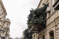 Charming street view in Baku showcasing lush balcony plants against classic architecture.