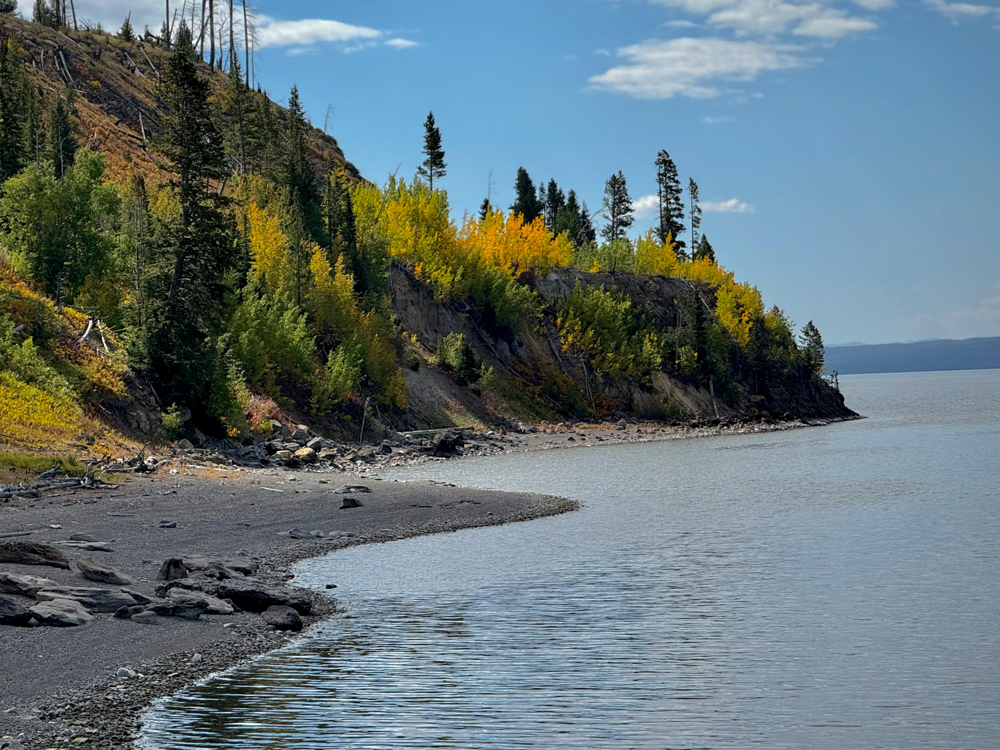 Vibrant autumn colors along the rocky shore of Yellowstone Lake under a clear sky.