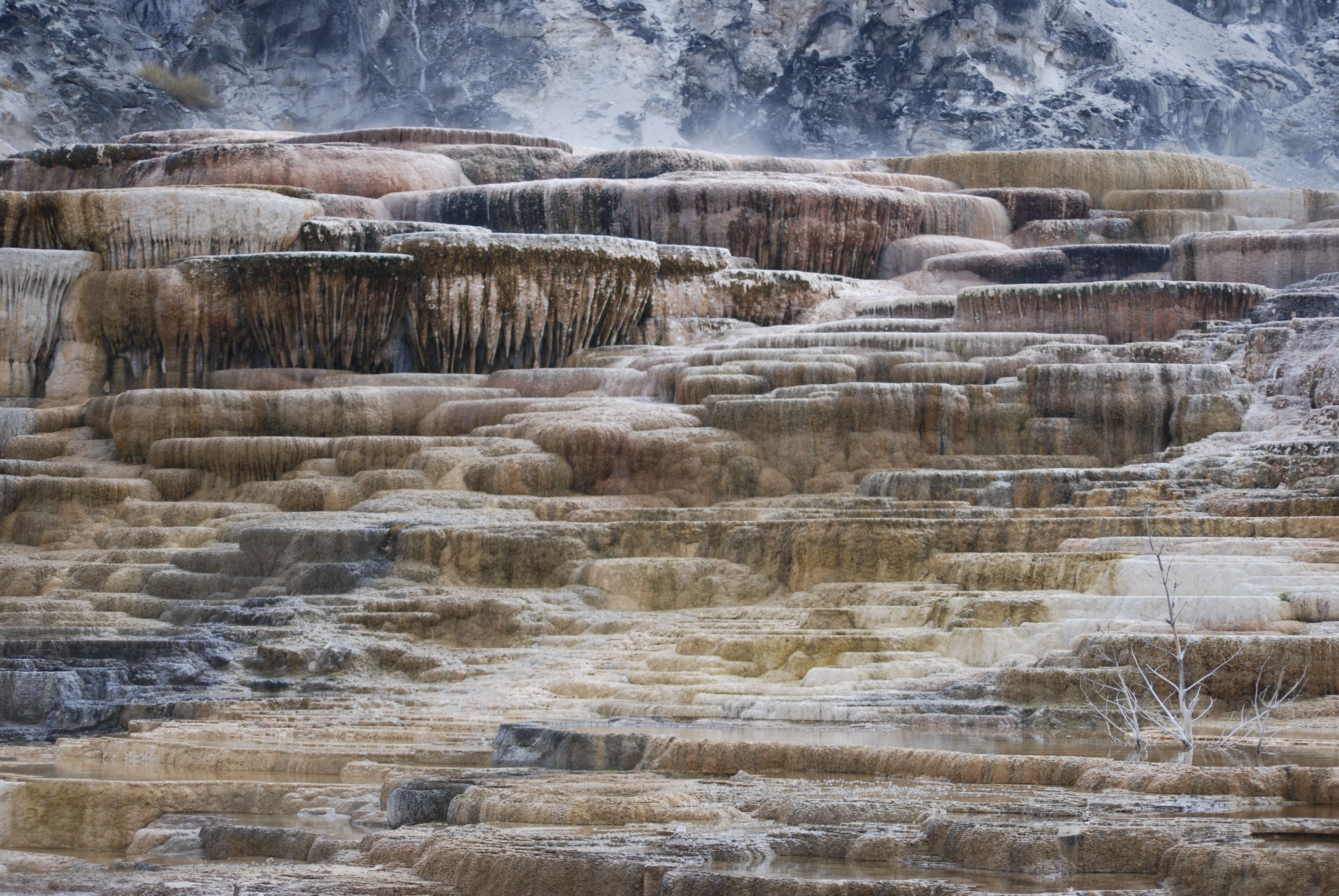 Stunning view of Mammoth Hot Springs terraces showcasing unique travertine formations and natural beauty.