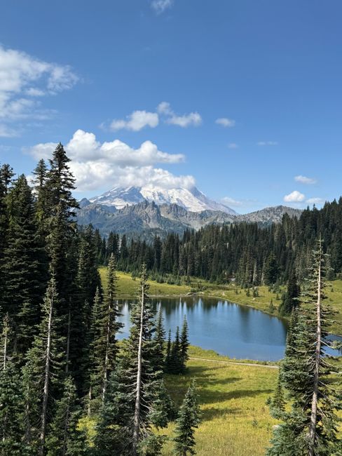 Mount Rainier reflected in an alpine lake with evergreen forest and clear sky