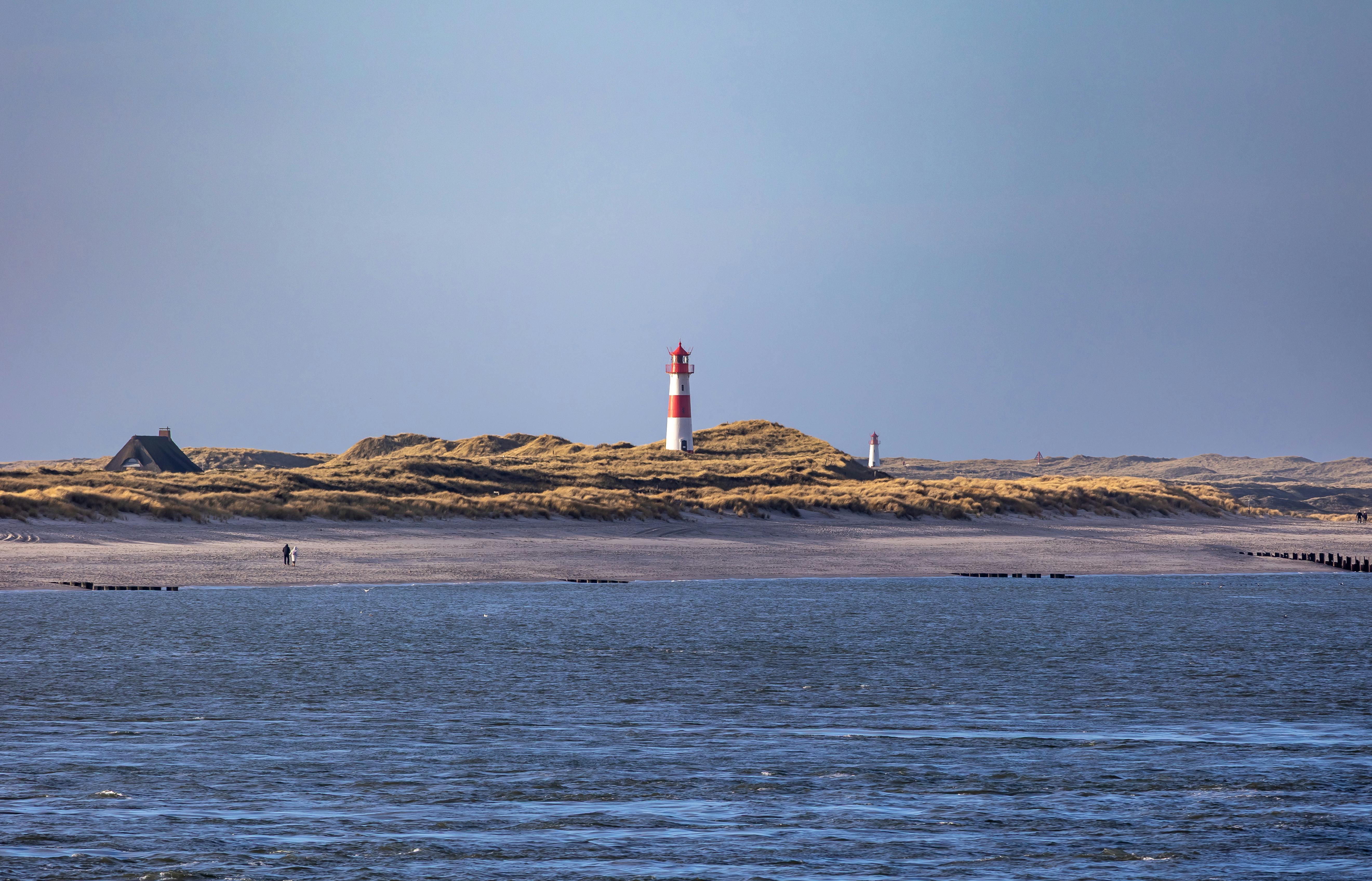 Landschotsche Heide