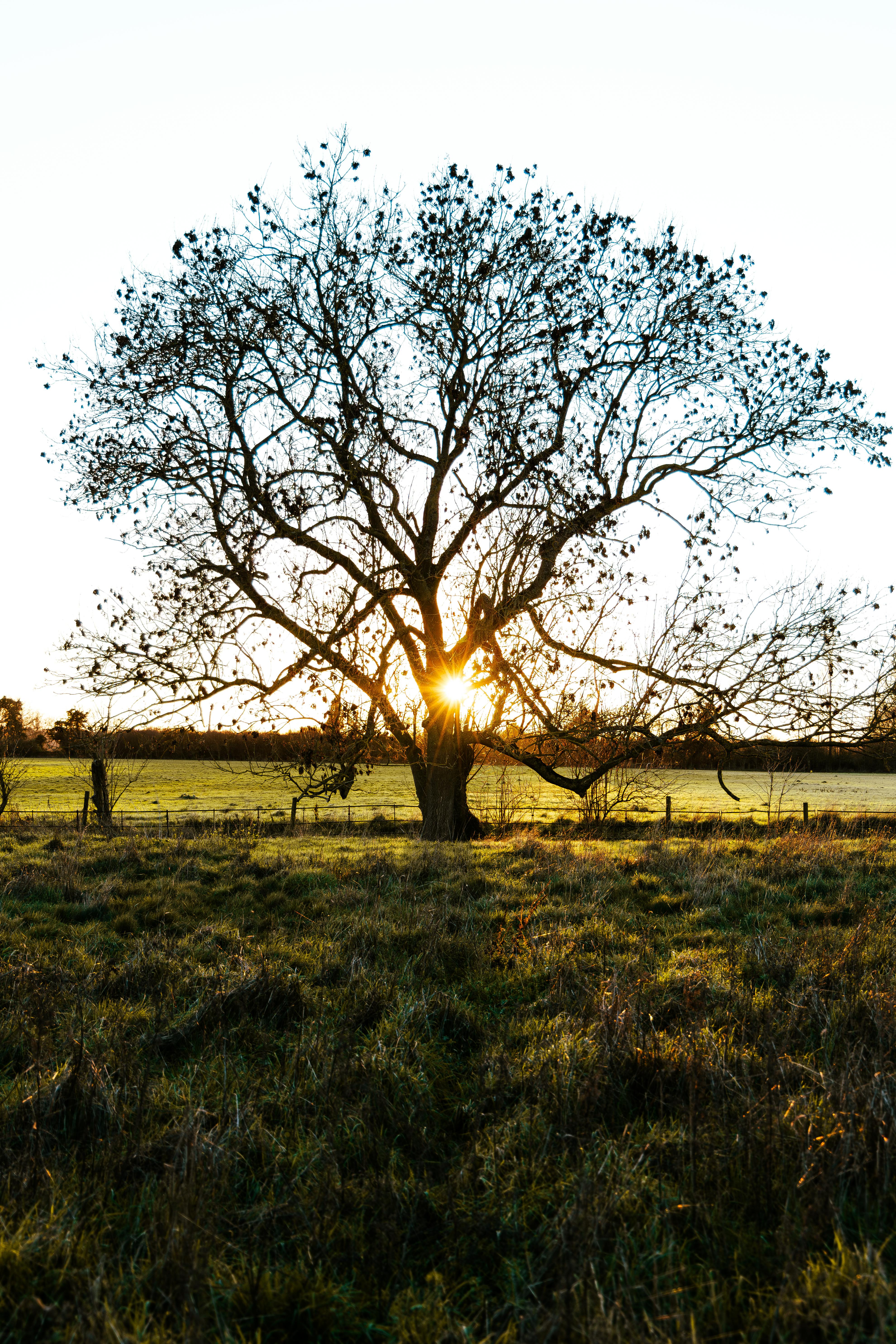 Greatness Through Gratitude.Docx