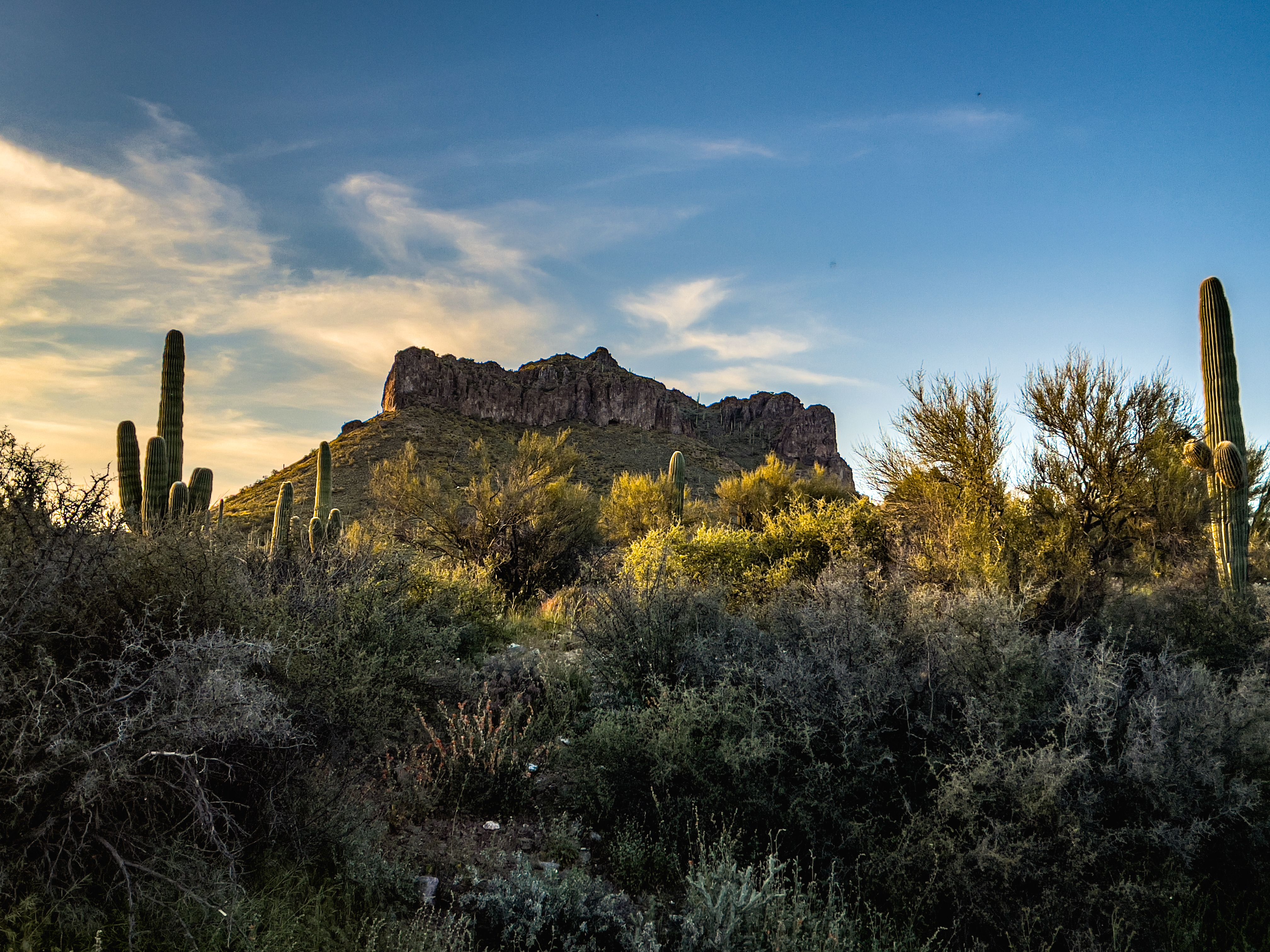Discover Your Dream: Land for Sale in Arizona