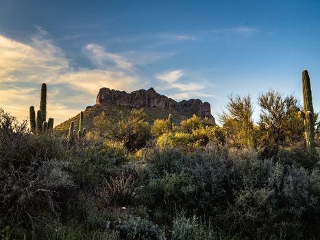 Discover Your Dream: Land for Sale in Arizona