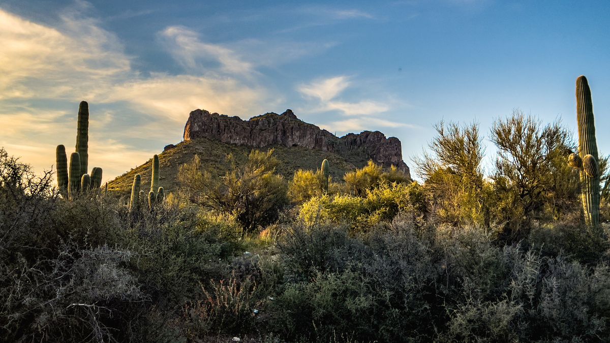 Top Mesa, AZ Local Raffles With No Purchase Necessary: Safe Entry Guide