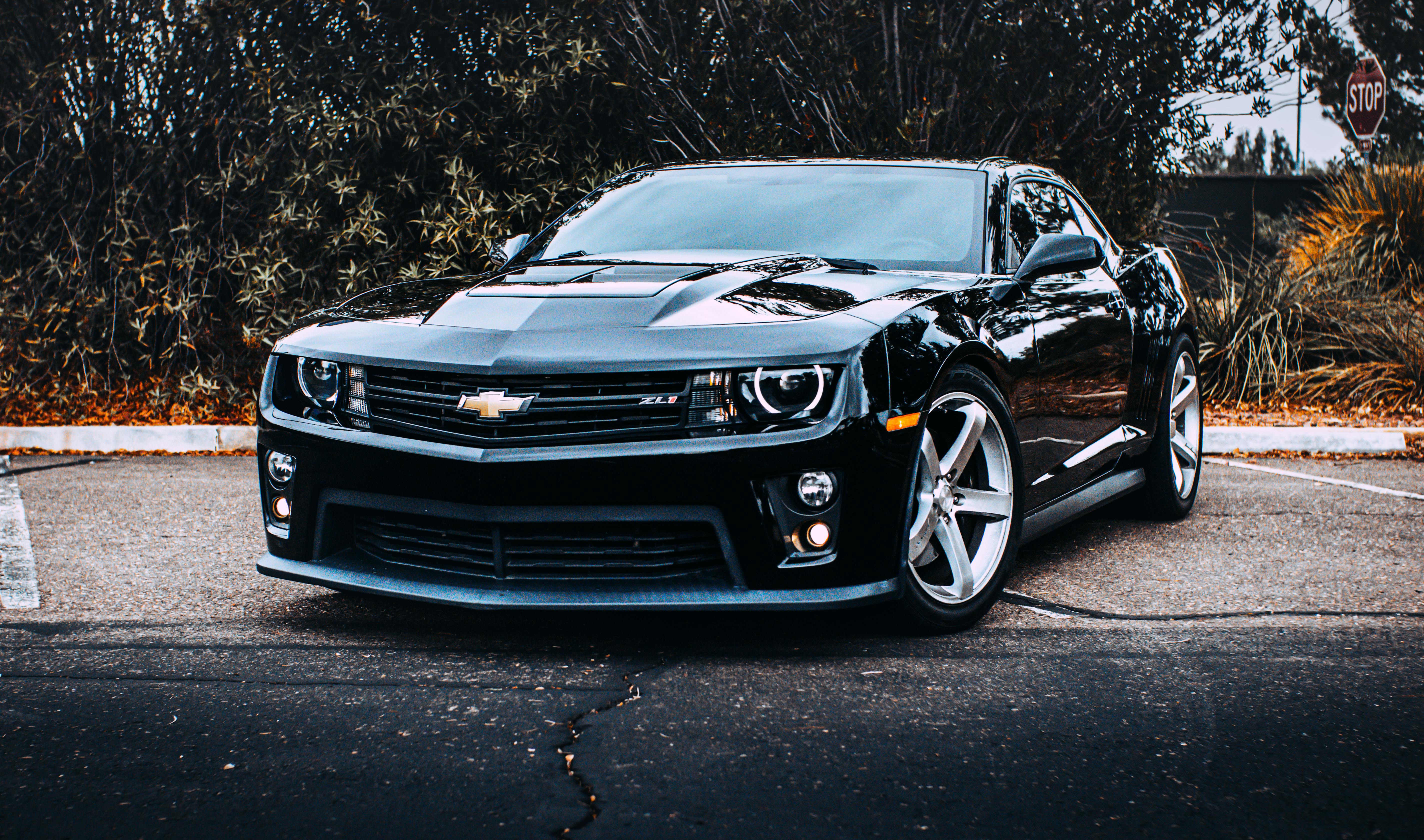 2019 Chevrolet Camaro Zl1 Photos, Download The BEST Free 2019 Chevrolet  Camaro Zl1 Stock Photos \u0026 HD Images, image size:5694x3360