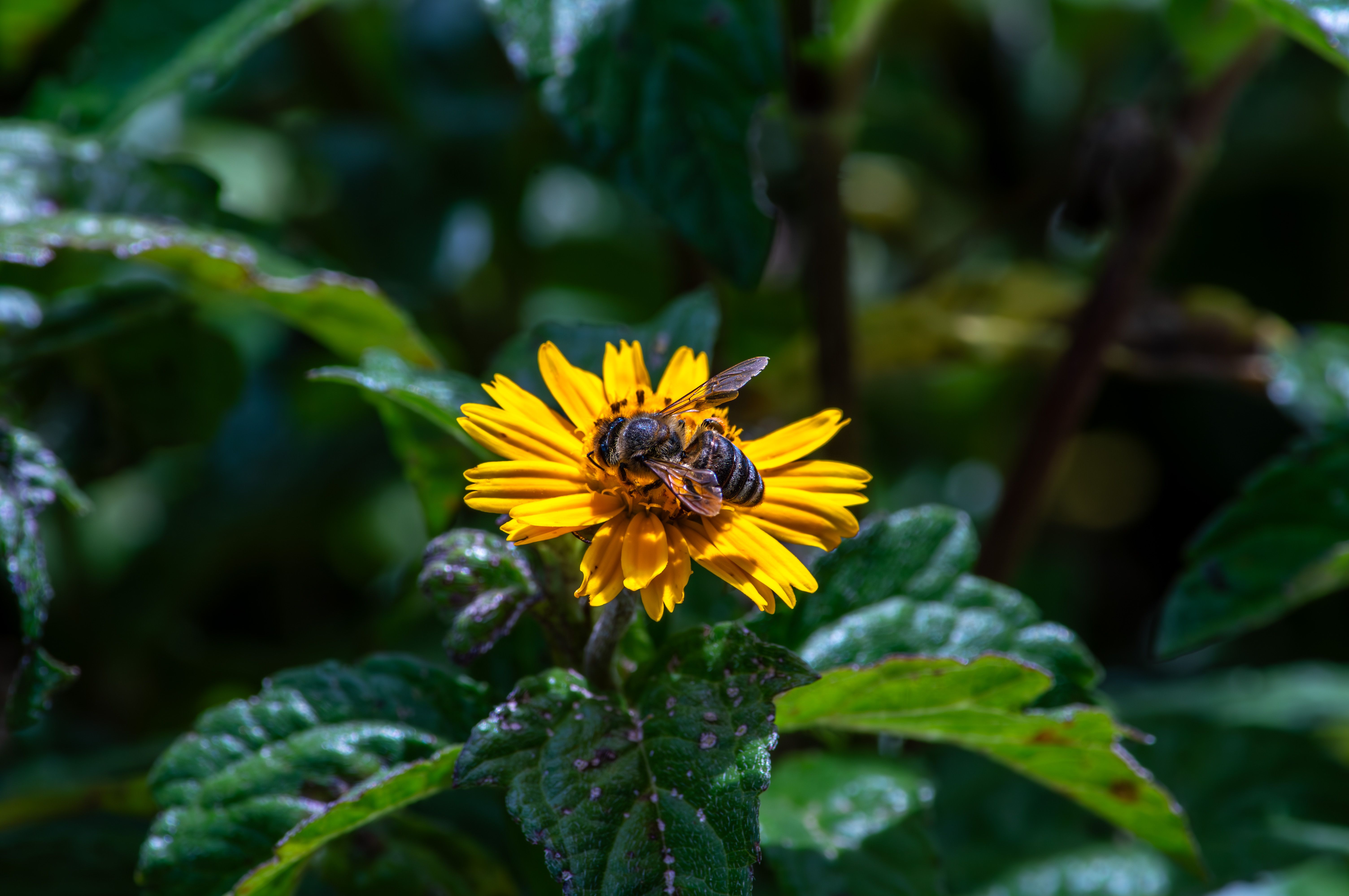 Ark Valley Civics Bee Competition to Send Three Local Students to State — Photo by Jerson Martins on Pexels
