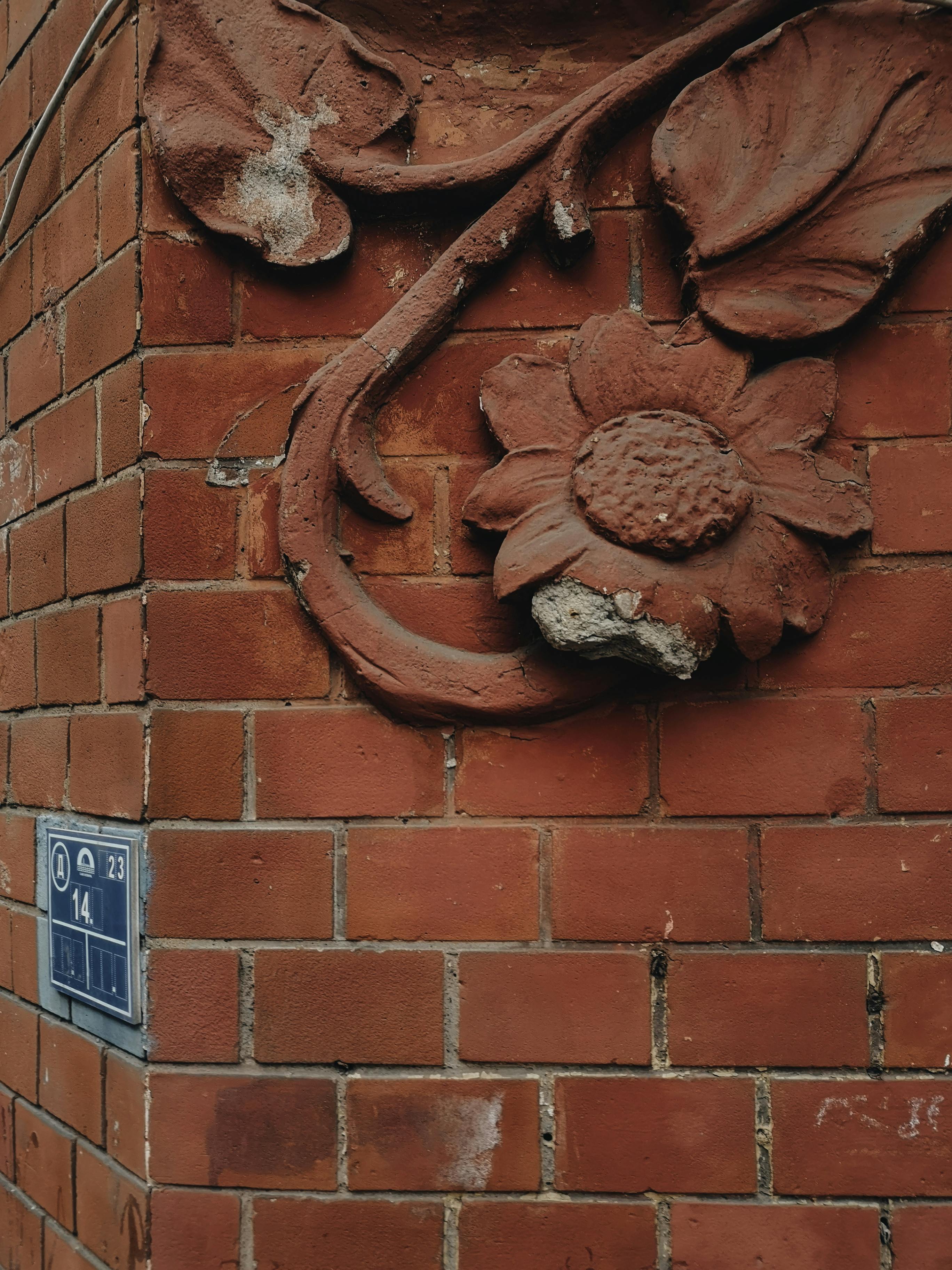 日光下，花卉图案在华丽砖墙的特写中展现