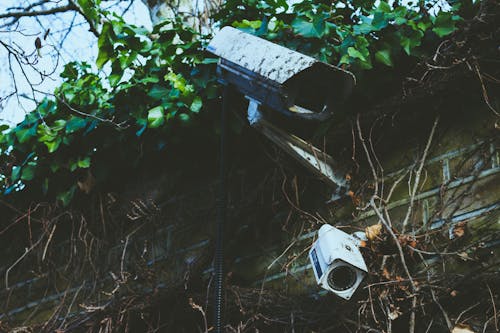 Free White Cctv Camera on Wall Stock Photo