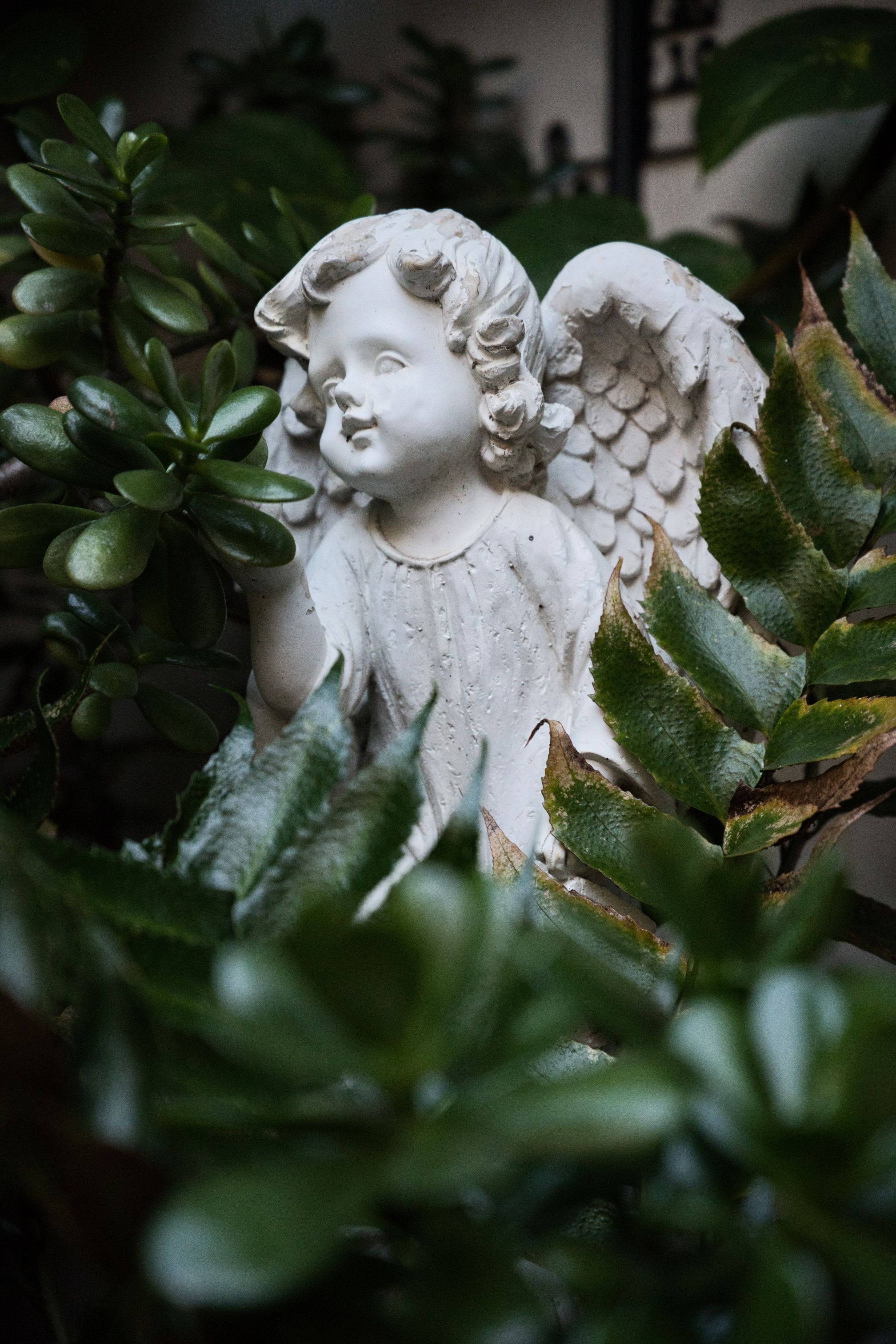 Serene angel statue surrounded by lush green plants, conveying peace and tranquility.