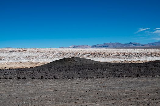 Atacama salt flat flamingos — Atacama Desert