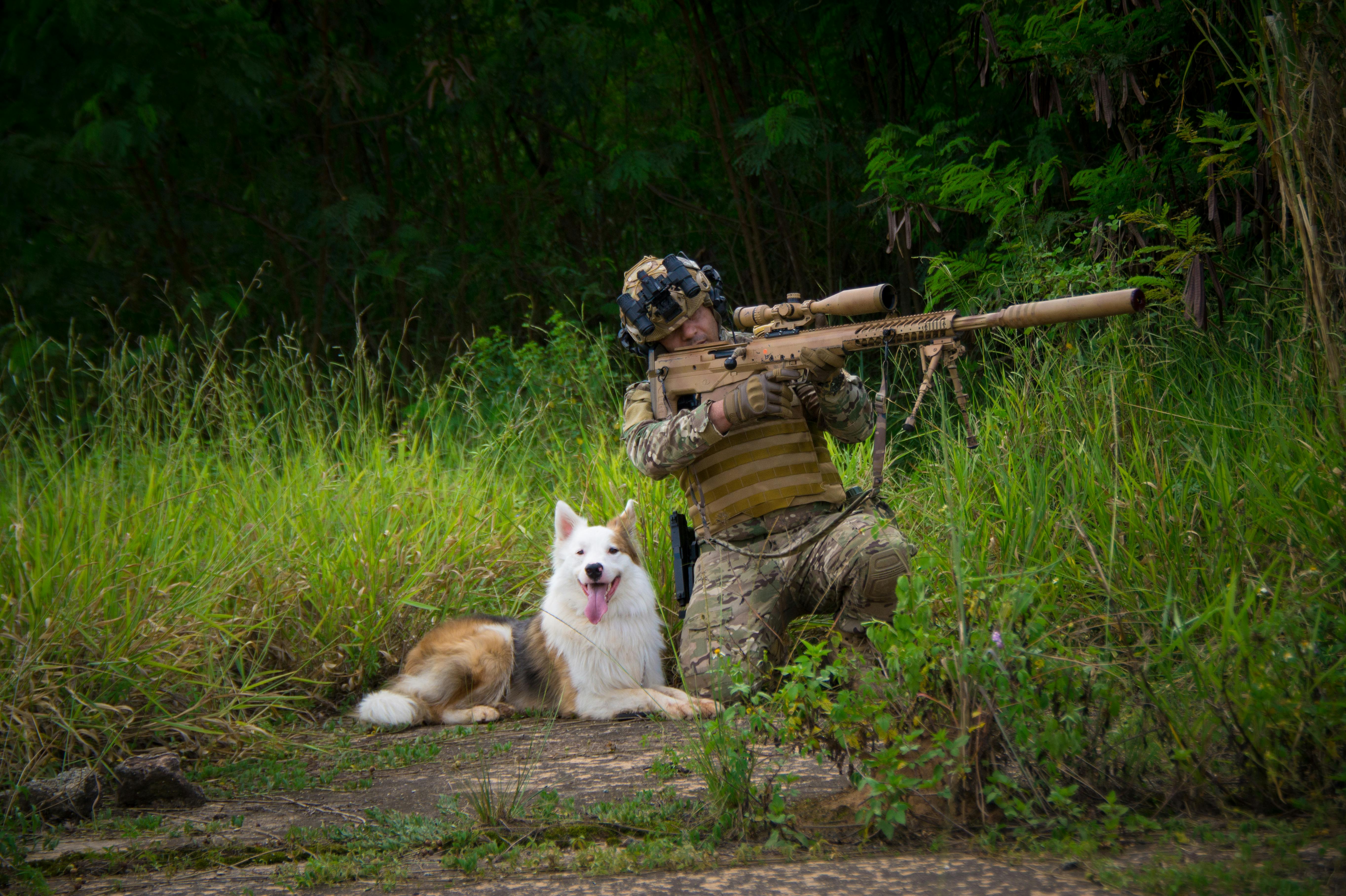 雄三增程型導彈首度亮相 國防部展現對抗中共軍演決心