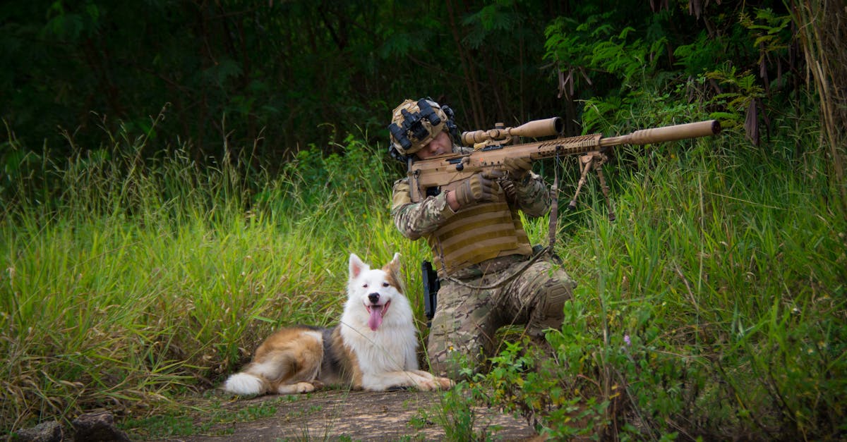 雄三增程型首度公開!國防部影片展示備戰姿態