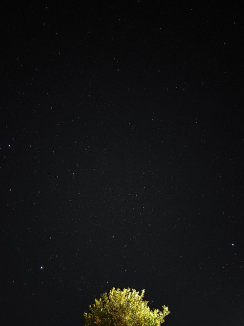 Free A beautiful view of a starry night sky above a tree in Brazil. Perfect for nature lovers. Stock Photo